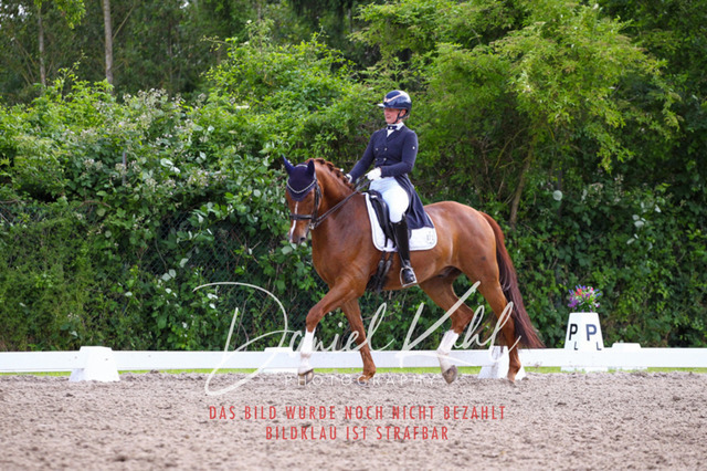 DKP41547 | Turnierfotos kaufen im Webshop von Daniel Kuhl Photography – entdecke professionelle Reitsportfotos aus Turnieren & Events. Hochwertige Turnierbilder online bestellen & sichern. Jetzt Fotos von Reitsportturnieren kaufen!