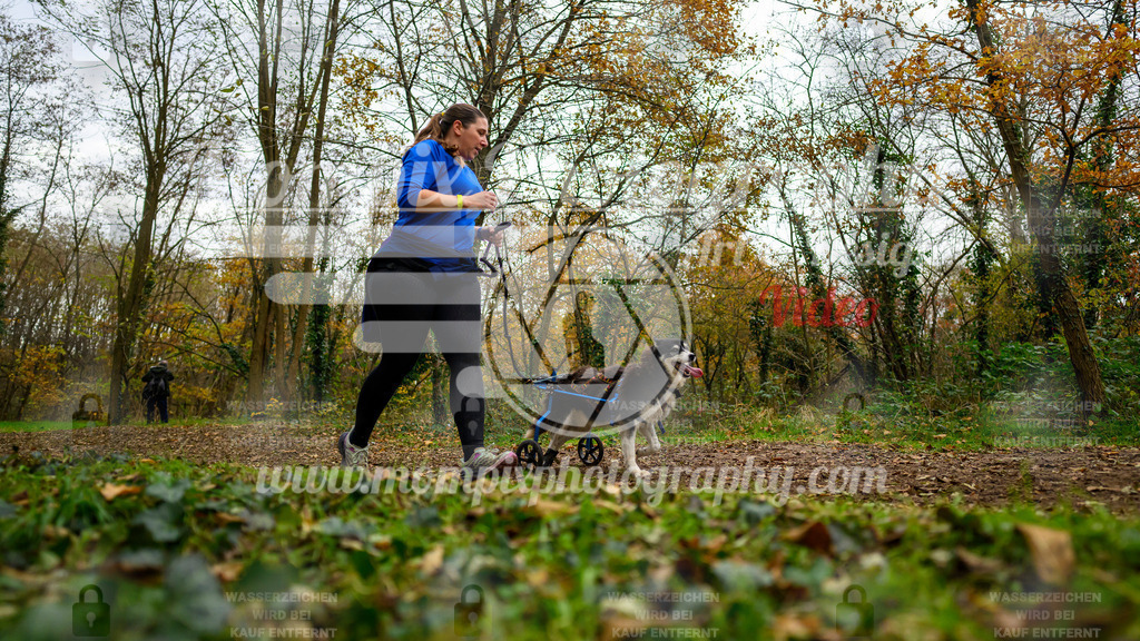 MompixPhotography_Bischwiller24_DI_CoursedeRelais-78 | PayLife
