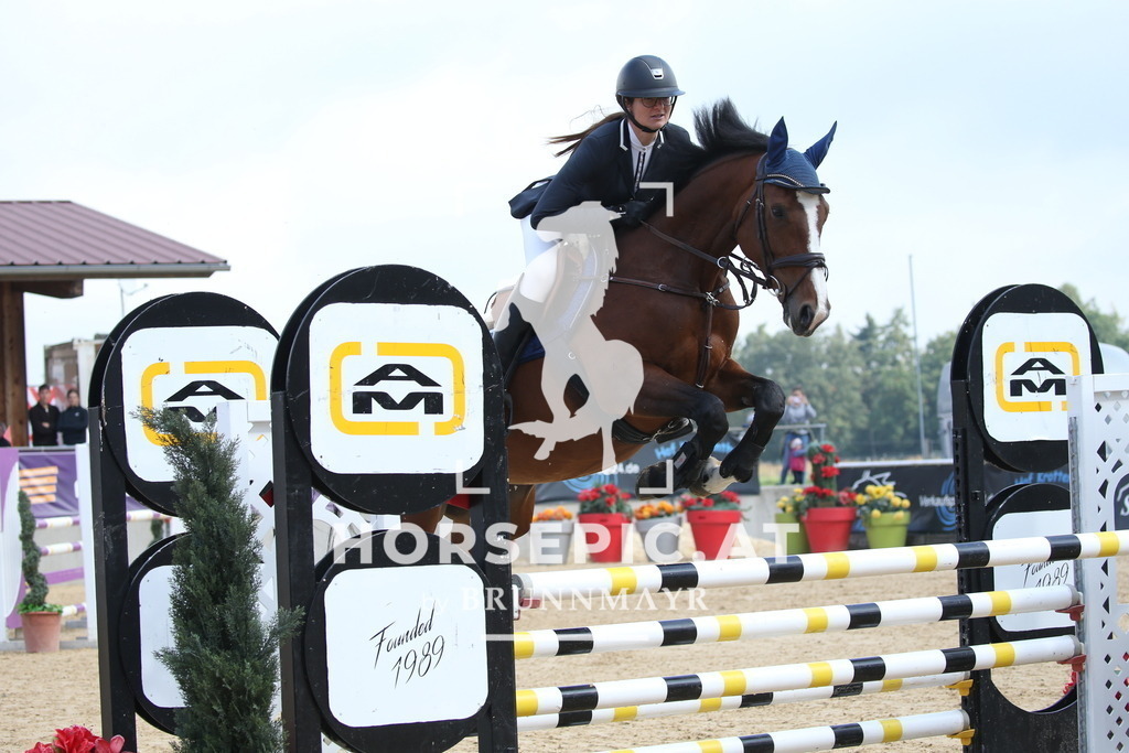 DL2Q4367 | Willkommen bei Brunnmayr - Design & Fotografie – Ihrem Spezialisten für Reitturniere und Pferdeveranstaltungen in Oberösterreich, Salzburg und Bayern! Seit über 17 Jahren sind wir leidenschaftlich dabei.