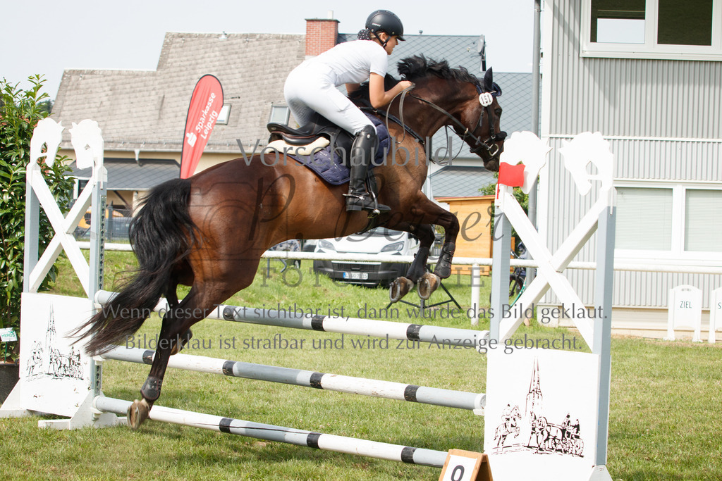 IMG_2904 | P. Berger Fotografie - Realisiert mit Pictrs.com