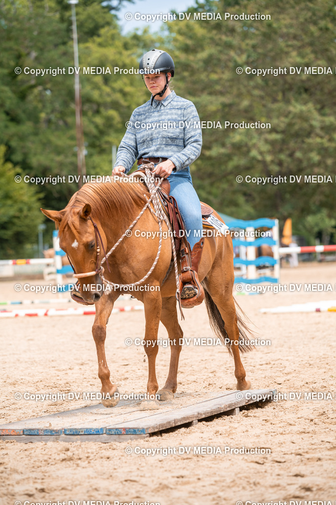 ZS2_8182 | dv-media-shop - Realisiert mit Pictrs.com