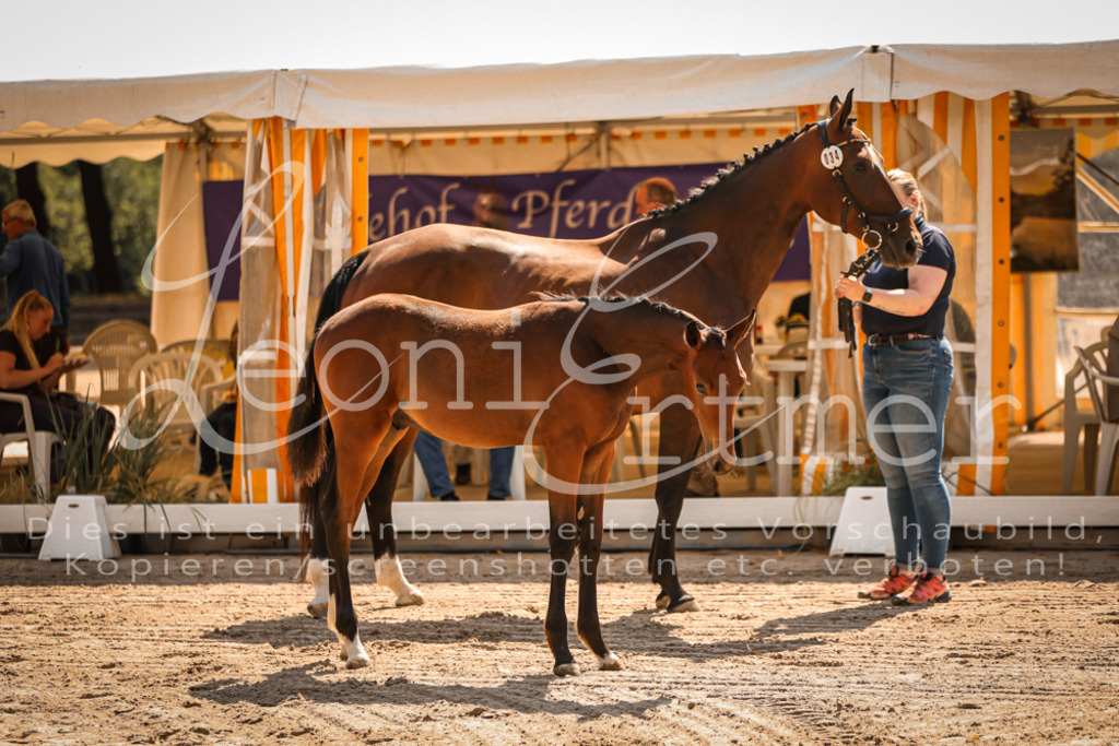 07.DoWBS00016 | Leoni Ertmer Photography - Realisiert mit Pictrs.com