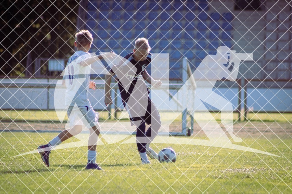 IMG_0111-2 | OK.Sportfotografie - Realisiert mit Pictrs.com