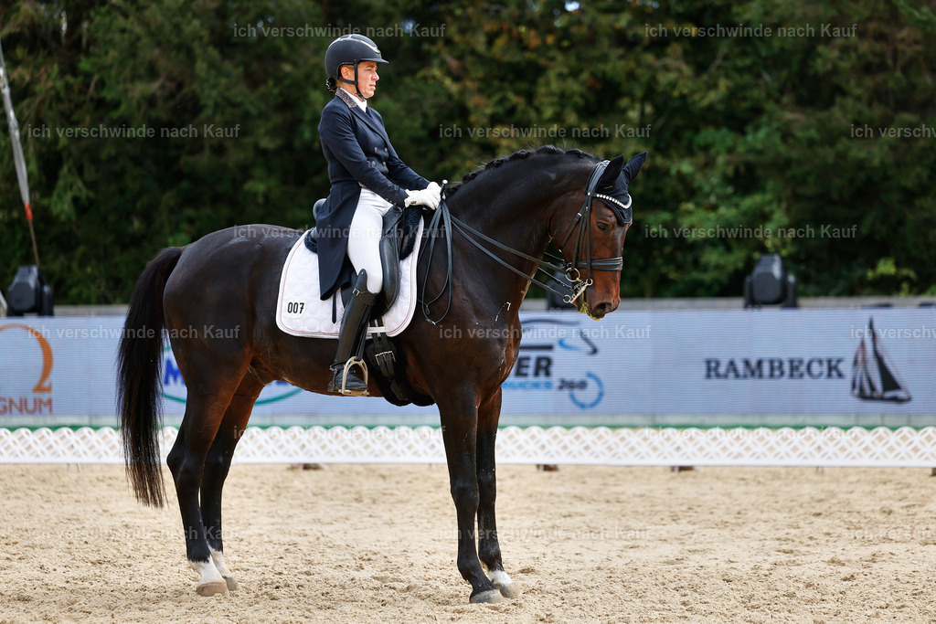 11-007-Dressur S___-StoibPH-1102 | working equitationturnier fotograf videograf stoibphotography marixx film working equitation deutschland reitsport turnierfotografie eventfotografie equestrian events