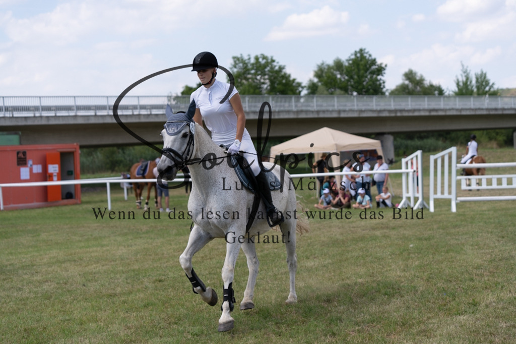 A7V00477 | Turnier/Reitfotograf