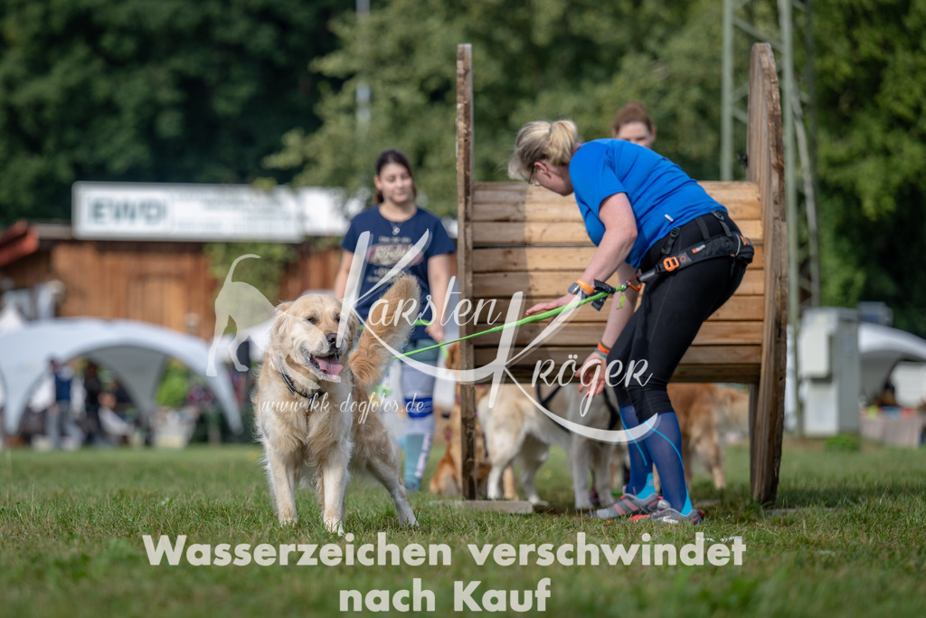1039_ZZ92939 | kk-dogfotos