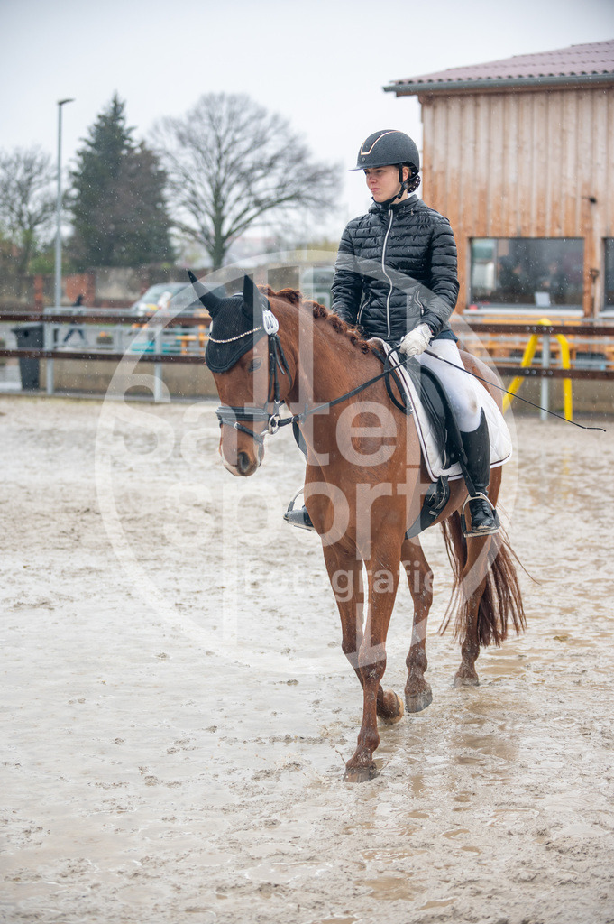 DSC_7342 | sattelsport - Realisiert mit Pictrs.com