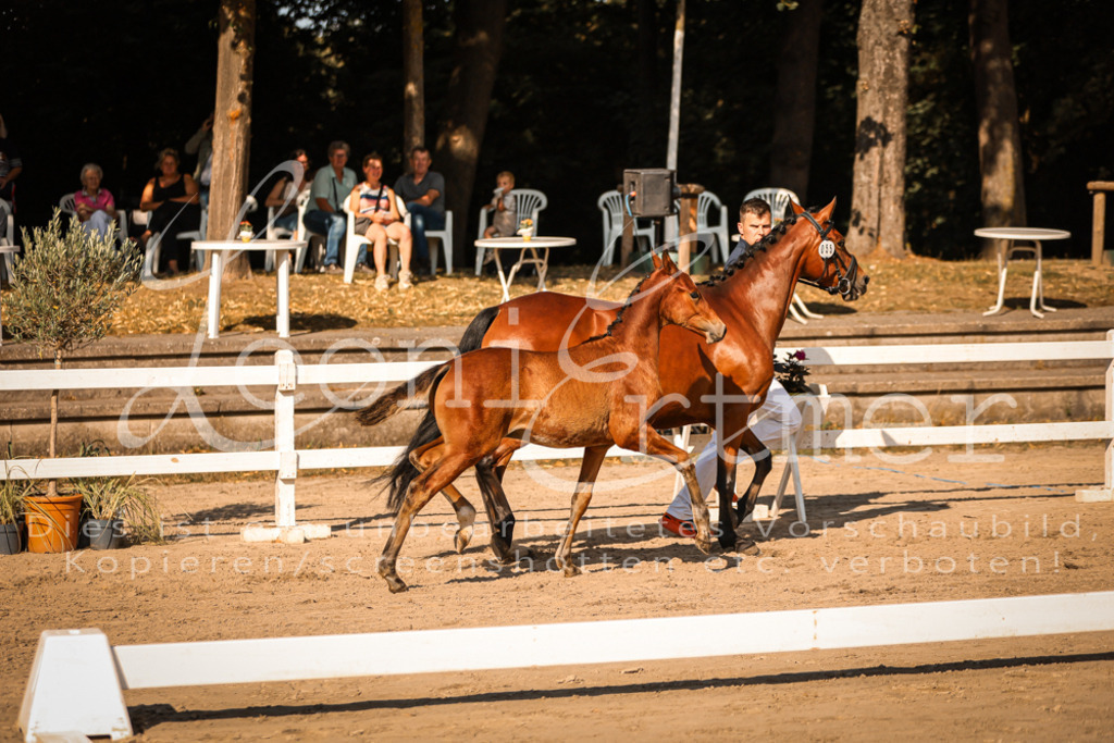 11.DoRP00125 | Leoni Ertmer Photography - Realisiert mit Pictrs.com