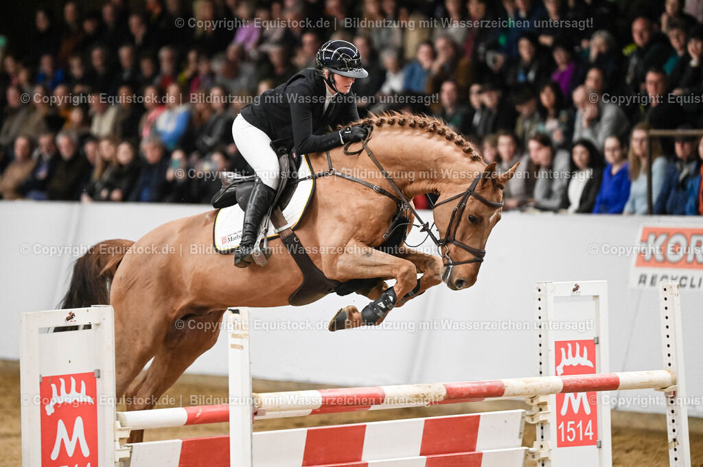 20260307_Hengstvorstellung-Marbach_0151 | equistock