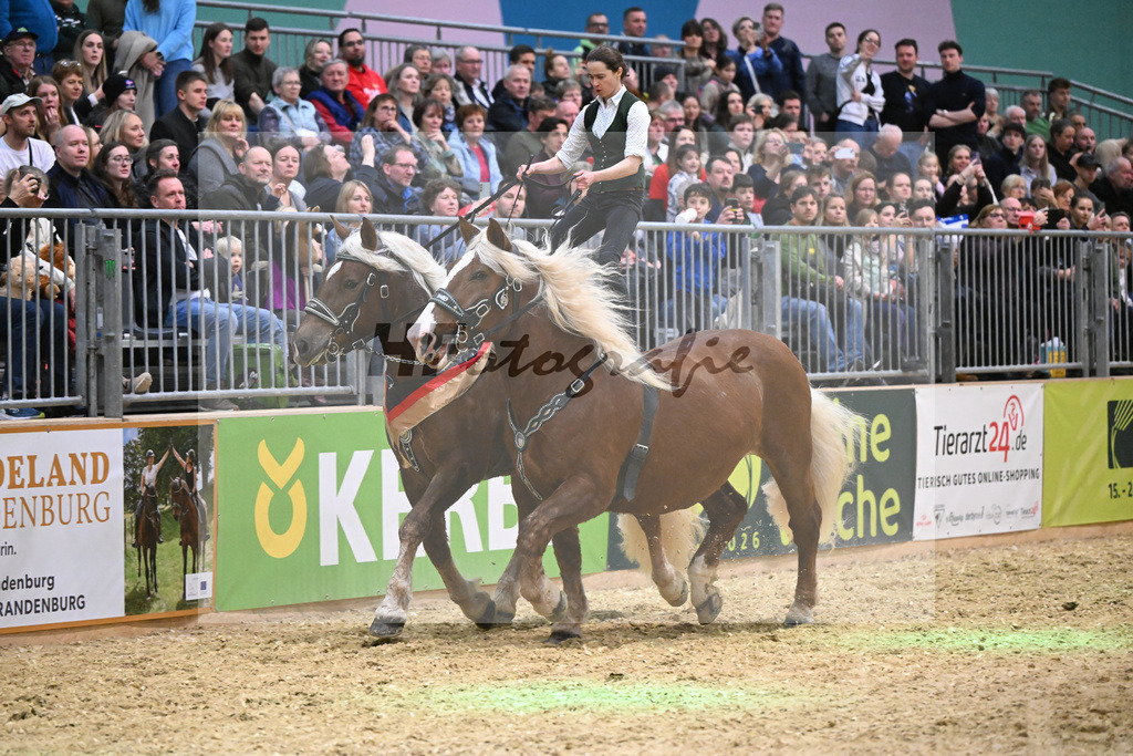 Schauprogramm_Ungar. Post_1260910 | hf-fotografie - Realisiert mit Pictrs.com