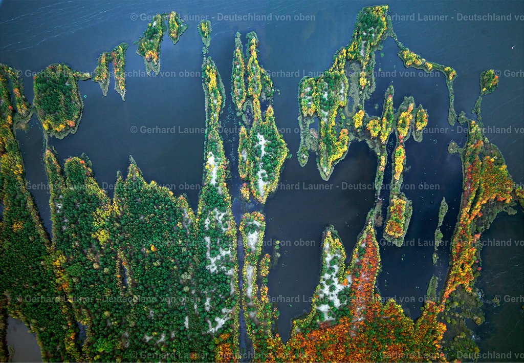 3069099 | Waldinsel im Senftenberger See