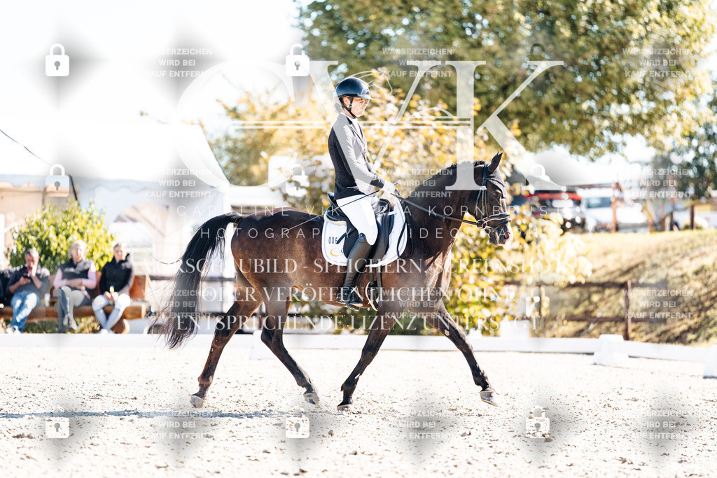 CK909048 | Turnierfotografie Pferdefotografie Trier Rheinland-Pfalz Pferdesport Reitsport Tierfotografie Sportfotografie Pferdevideo Pferdevideografie Equestrianvideography equestrianphotography  - Realisiert mit Pictrs.com