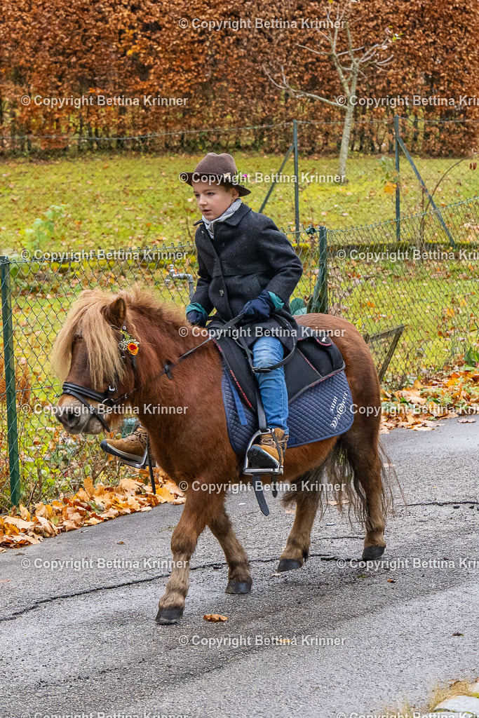 LL25-156 | foto-bettina-krinner - Realisiert mit Pictrs.com