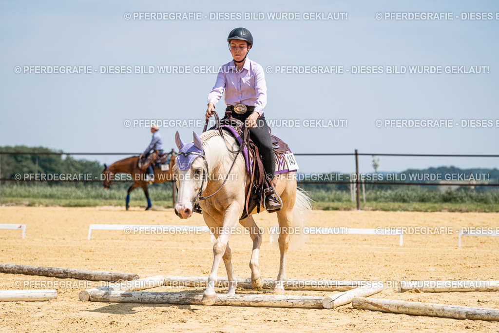 DSC01081 | Pferdegrafie