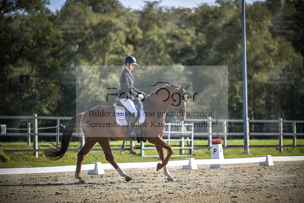 DOS_3250 | Entdecke hochwertige Reitturnierfotos von Foto Oger. Professionell, emotional und authentisch – jetzt Lieblingsmomente im Shop bestellen. - Realisiert mit Pictrs.com