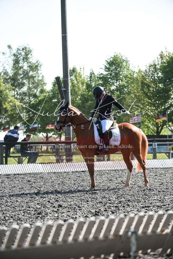 DSC_8409 | Pferde- und Turnierfotografie in Westsachsen. Pferdeportraits, Auftragszeichnungen und intuitive Kunst.