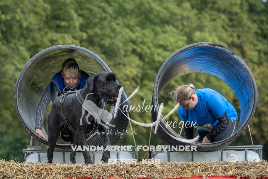 1416_ZZ90937 | kk-dogfotos