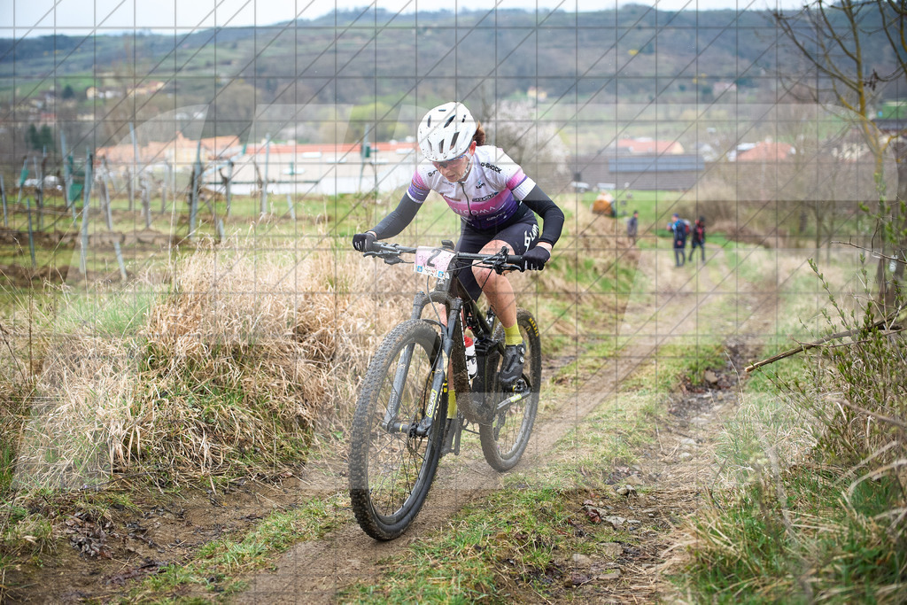 34. KTM Kamptal Trophy  | ZÖBING, Österreich – 2026-03-29: 34. KTM Kamptal TrophyFoto: © 2026 Martin Bihounek - MB Creative e.U.