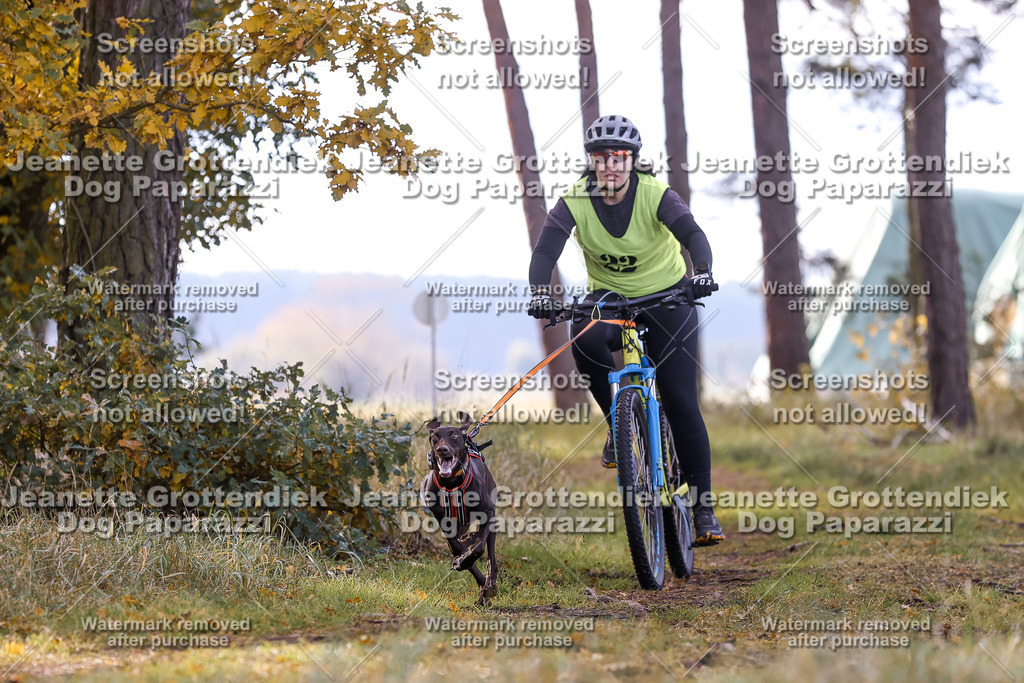 Dog Paparazzi - Elsholz 25 -104 | Dog Paparazzi Jeanette Grottendiek Fotografie & Videografie - Realisiert mit Pictrs.com