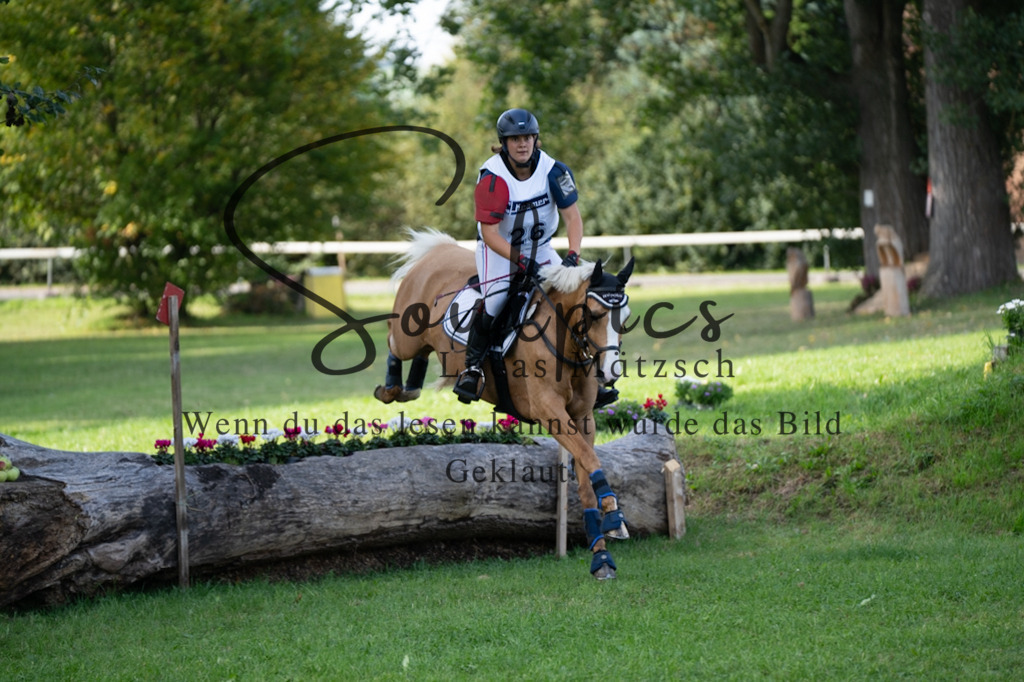 A7V03212 | Pferdefotograf