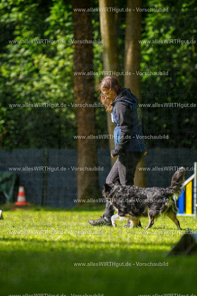 @allesWIRTHgut_Tierfotografie - www.allesWIRTHgut.de - 082739-7R506209 | Professionelle Tierfotografie in Mönchengladbach von Daniel Wirth (allesWIRTHgut). Liebevolle & natürliche Bilder von Hunden & Katzen für unvergessliche Erinnerungen.