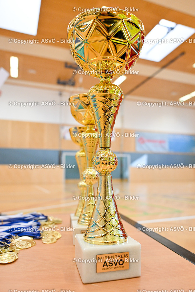 ASVÖ_ Fussballturnier SV Gallneukirchen_ 08.02.2025-129 | 08.02.2025, Gallneukirchen, AUT, ASVÖ, Fussball Nachwuchs Hallenturnier 2025, SV Gallneukirchen im Bild Teilnehmer U 7©Harald Dostal / fodo.media - Realisiert mit Pictrs.com