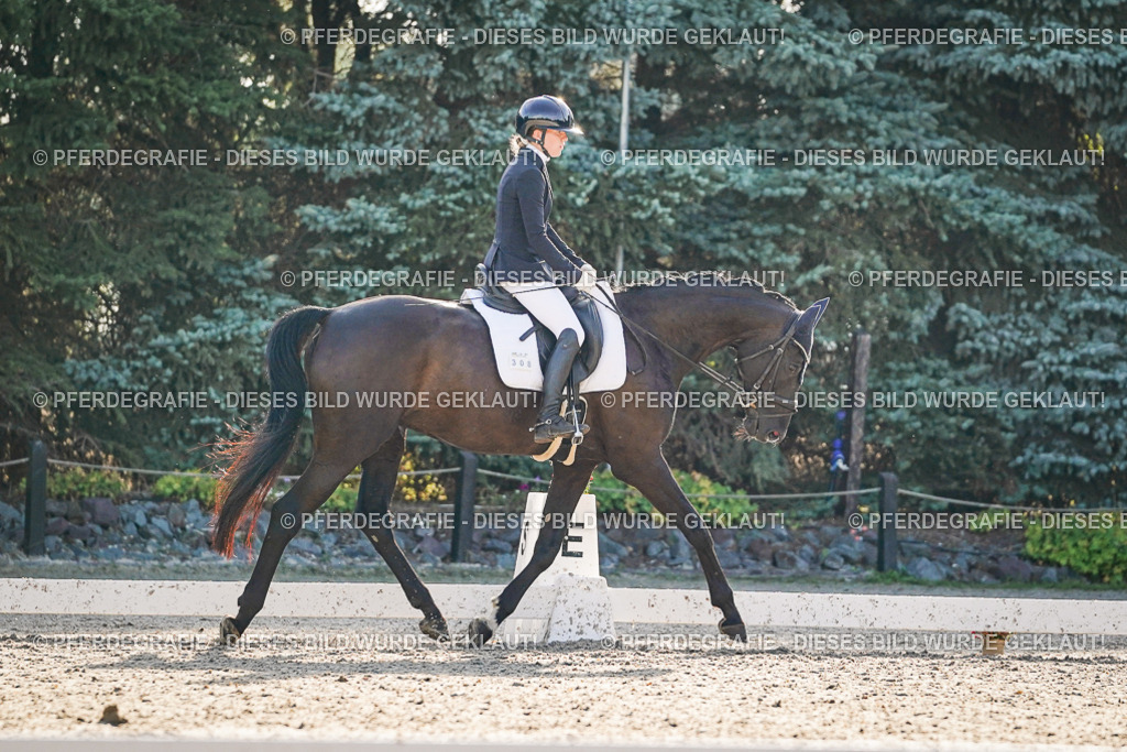 DSC08248 | Pferdegrafie