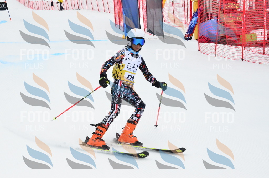 _ELE3942 | holidayphoto