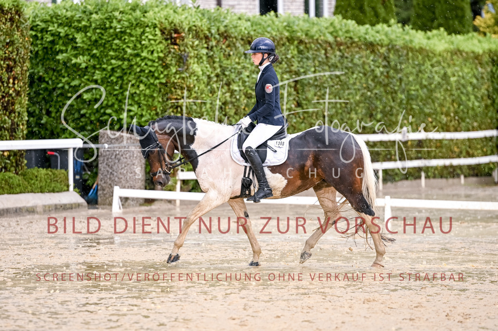 Schugtsche-Aluta25-55.Dressurreiterprf.L1Tr-383 | Schugtsche Fotografie - Realisiert mit Pictrs.com