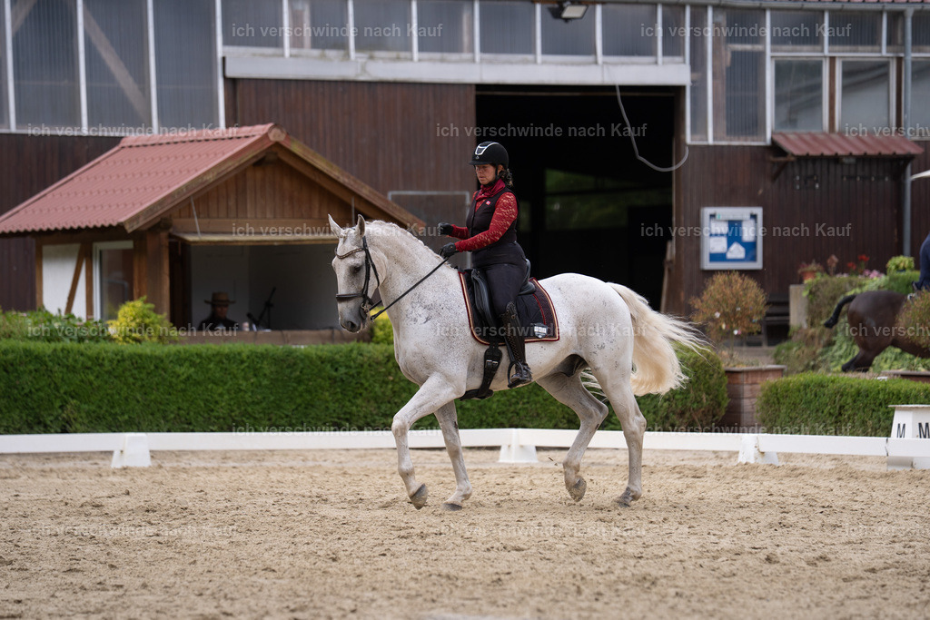 WS_DR_63_sinafilmart_IN01529 | working equitationturnier fotograf videograf stoibphotography marixx film working equitation deutschland reitsport turnierfotografie eventfotografie equestrian events