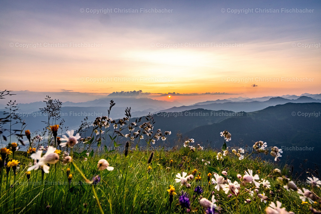 Fotos_Copyright_Chri_Fischbacher_Druck-456 | Bildershop Chri Fischbacher - Realisiert mit Pictrs.com