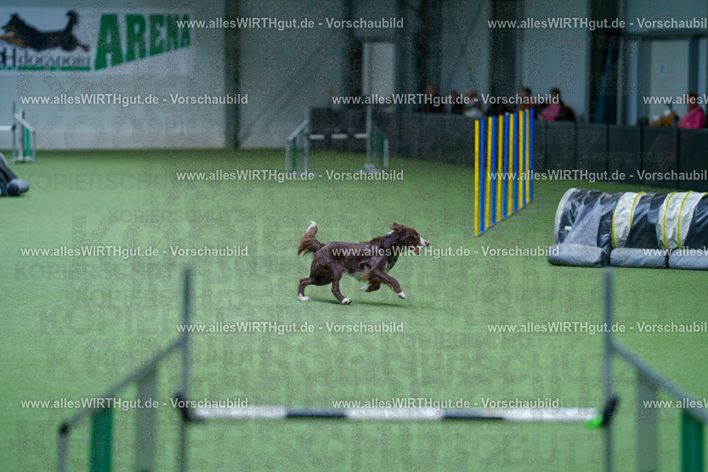 @allesWIRTHgut_Tierfotografie - www.allesWIRTHgut.de - 2604251049-7R500239 | Professionelle Tierfotografie in Mönchengladbach von Daniel Wirth (allesWIRTHgut). Liebevolle & natürliche Bilder von Hunden & Katzen für unvergessliche Erinnerungen.