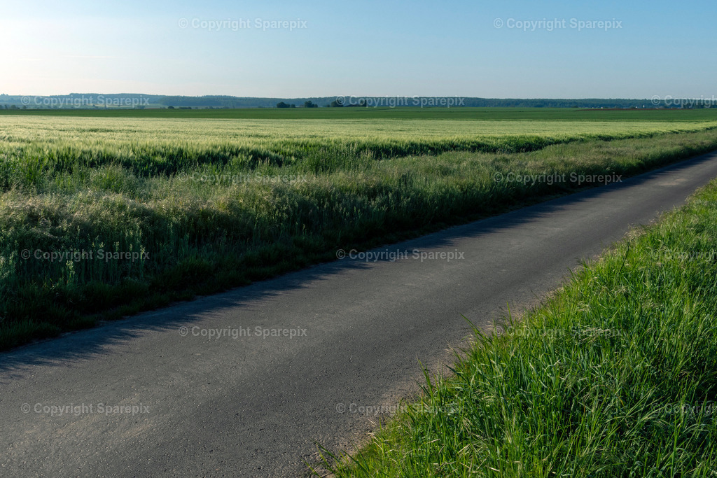 CAR_Agri_Dirt_Road2 | Camera height 1,60m - light 10/30° - Realisiert mit Pictrs.com
