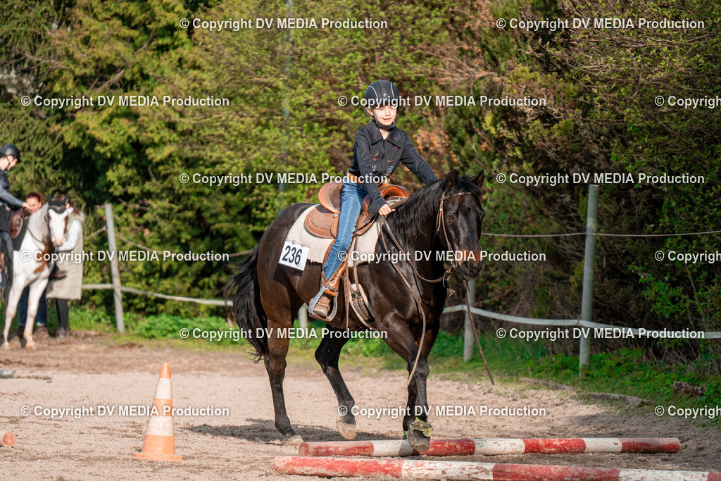 BAL02907 | dv-media-shop - Realisiert mit Pictrs.com