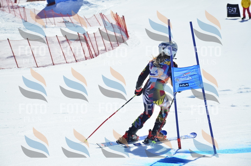 _ELE9729 | holidayphoto