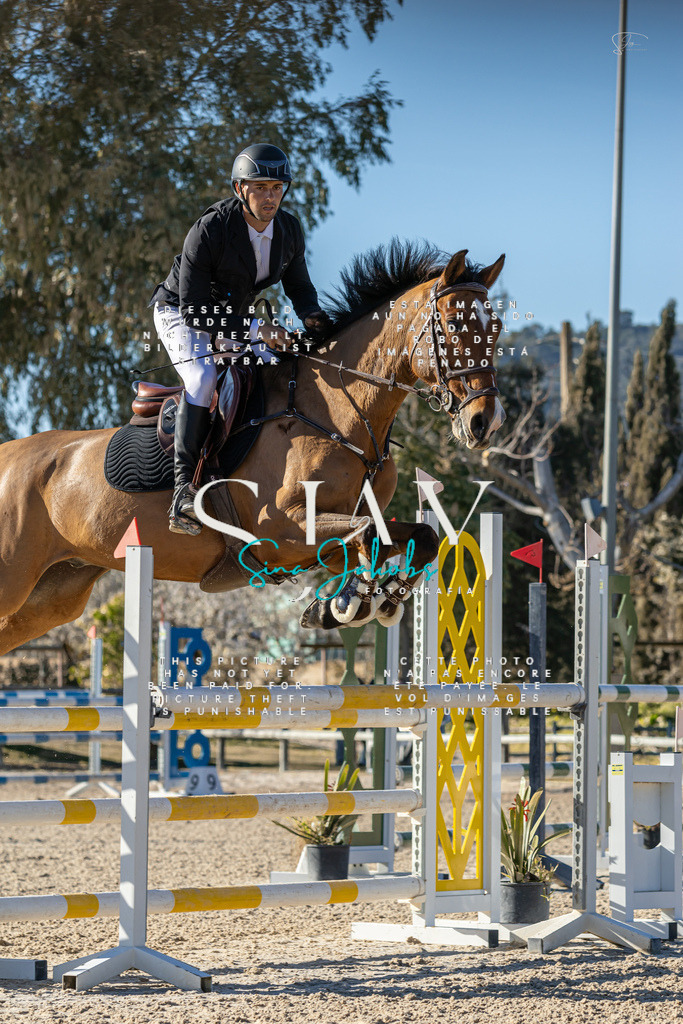 IMG_1909 | s-jay-photography - Realisiert mit Pictrs.com