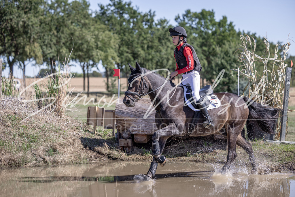 20260906-_3LI3422 | Tierfotografie Pferde, Hunde, Katzen, Haustiere.
Turnierfotografie Reitturniere, Reiten, Springreiten, Dressur in Hanau, dem Main-Kinzig-Kreis und dem Rhein-Main- Gebiet um Frankfurt