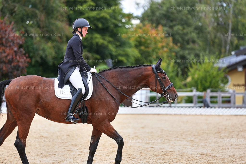 6-084-AMATUER-DRESSUR S_  -Marixx-3739 | working equitationturnier fotograf videograf stoibphotography marixx film working equitation deutschland reitsport turnierfotografie eventfotografie equestrian events