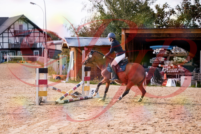 2026_10_03_Siefer-Hof_145727_Z81_39095986 | Professionelle Reitsport-, Turnier- und Eventfotografie von Robert Broda. Galerien mit ausgewählten und bearbeiteten Bildern direkt online ansehen und bestellen.