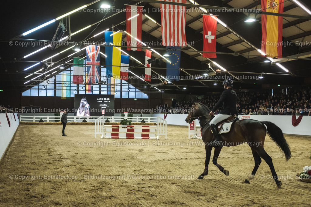 20240302_Hengstvorstellung_Marbach_TOMsPiC_0222 | equistock