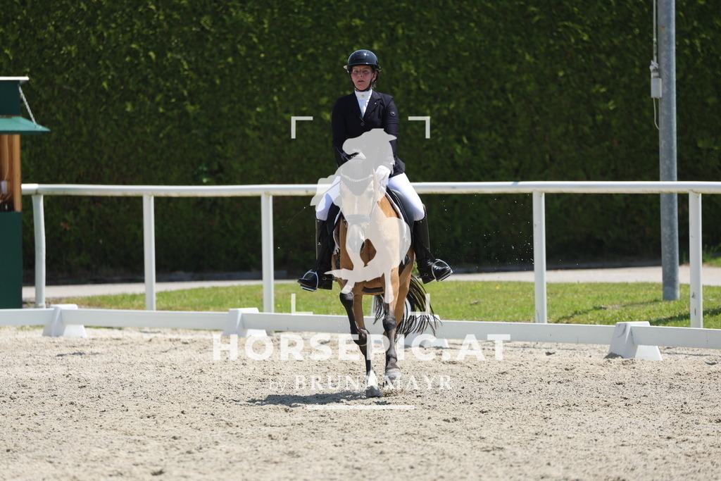 0P6A1747 | Willkommen bei Brunnmayr - Design & Fotografie – Ihrem Spezialisten für Reitturniere und Pferdeveranstaltungen in Oberösterreich, Salzburg und Bayern! Seit über 17 Jahren sind wir leidenschaftlich dabei.