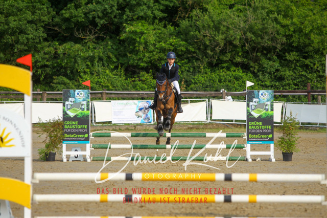 DKP41042 | Turniersportfotografie; Pferdefotografie; Dressurfotografie