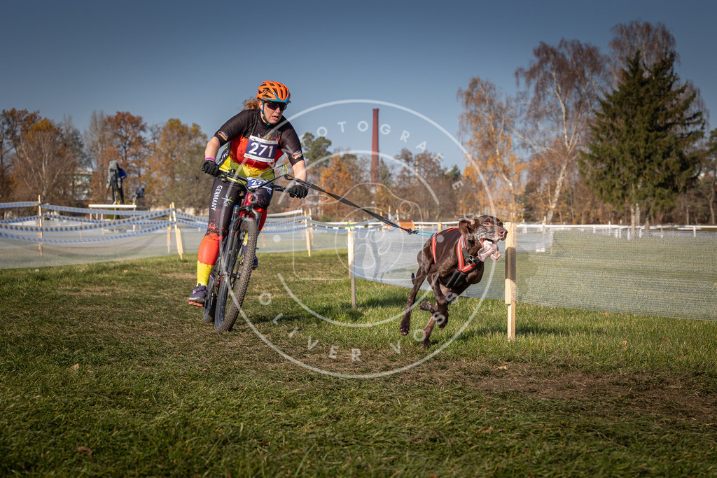 CaniXpix_0L8A7850 | Hundefotografie, Tierfotograf, Pfotenfotografie, Fotoshooting Hund, Hunde Portrait, Hundesport, Hundeportraits, Heideshooting, Hunde, Sportfotograf, Hundefotograf, Turnierhundsport, THS,  - Realisiert mit Pictrs.com