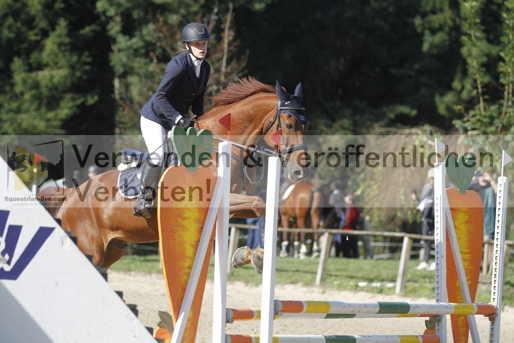 _MG_4145 | equestrian-live-com