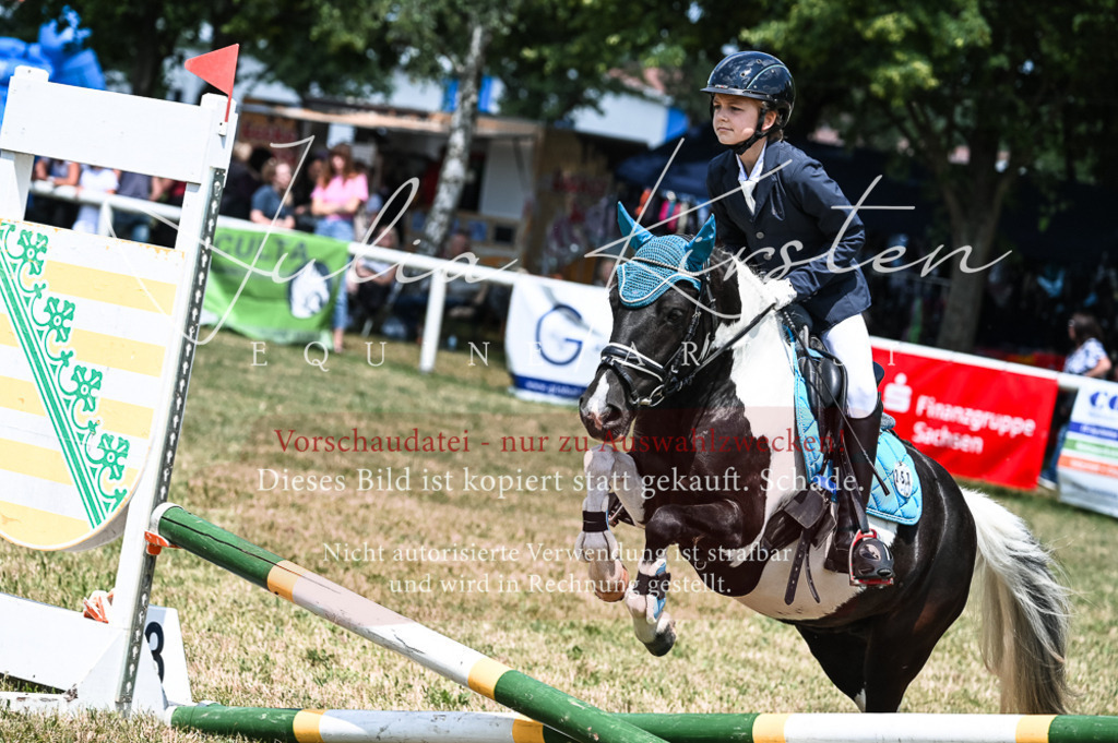 DSC_9740 | Pferde- und Turnierfotografie in Westsachsen. Pferdeportraits, Auftragszeichnungen und intuitive Kunst.