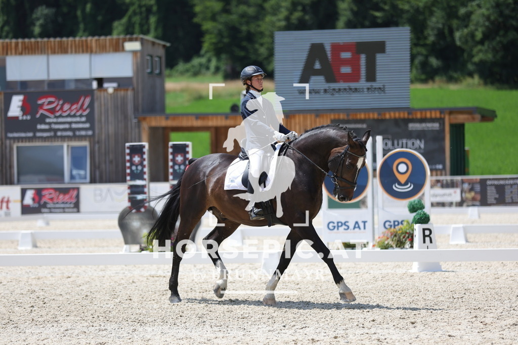 0P6A2061 | Willkommen bei Brunnmayr - Design & Fotografie – Ihrem Spezialisten für Reitturniere und Pferdeveranstaltungen in Oberösterreich, Salzburg und Bayern! Seit über 17 Jahren sind wir leidenschaftlich dabei.