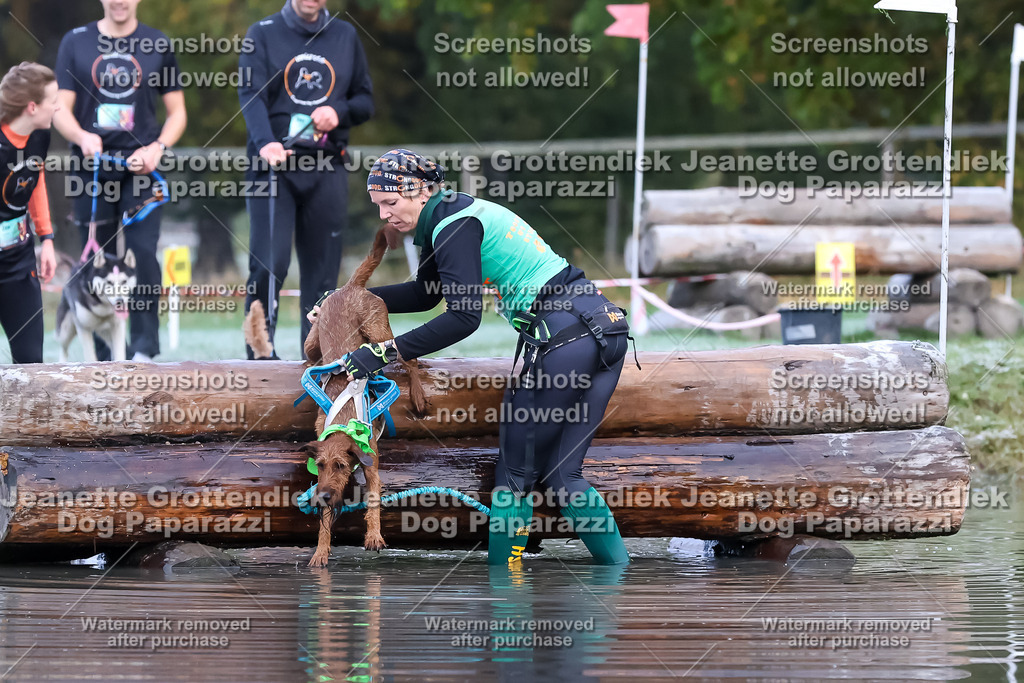 Dog Paparazzi - Strongdog 10-25-6197 | Dog Paparazzi Jeanette Grottendiek Fotografie & Videografie - Realisiert mit Pictrs.com