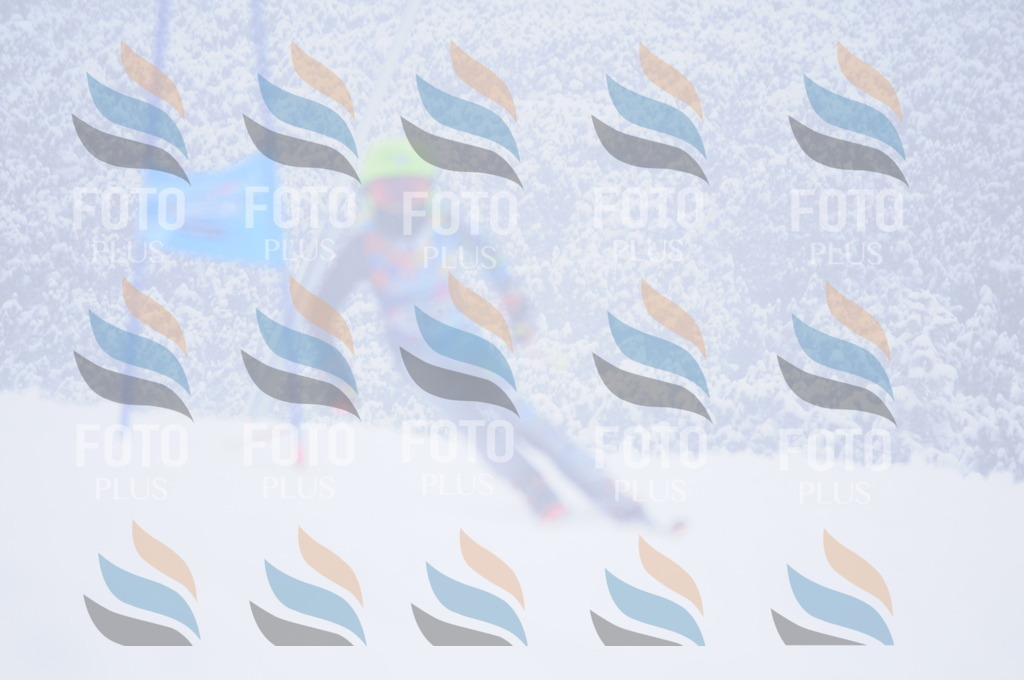 C2136 | holidayphoto