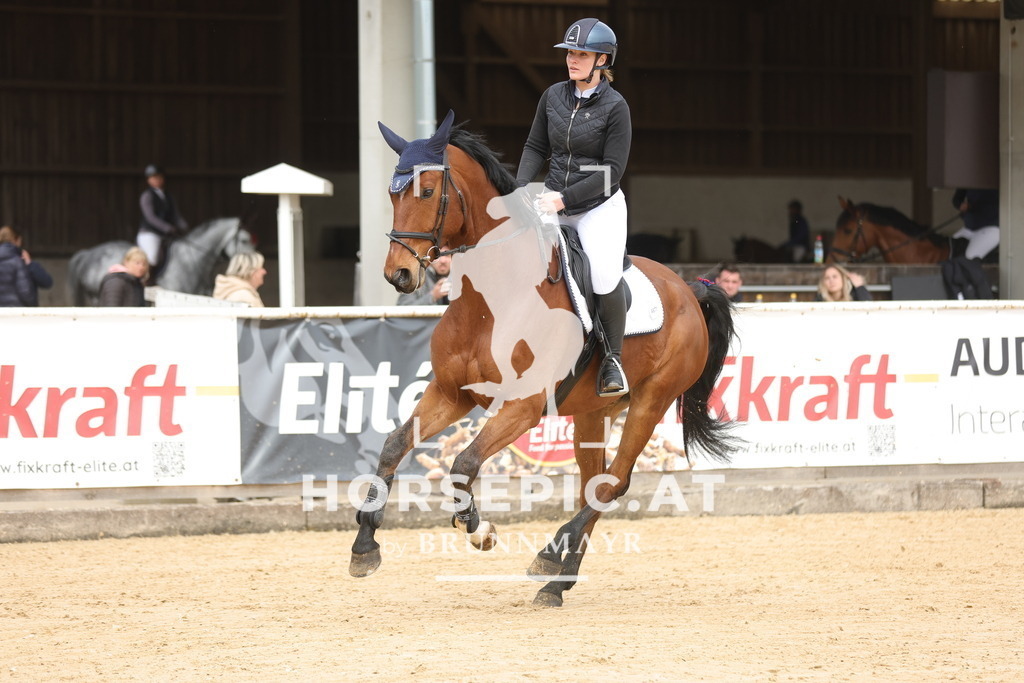 0P6A4864 | Willkommen bei Brunnmayr - Design & Fotografie – Ihrem Spezialisten für Reitturniere und Pferdeveranstaltungen in Oberösterreich, Salzburg und Bayern! Seit über 17 Jahren sind wir leidenschaftlich dabei.