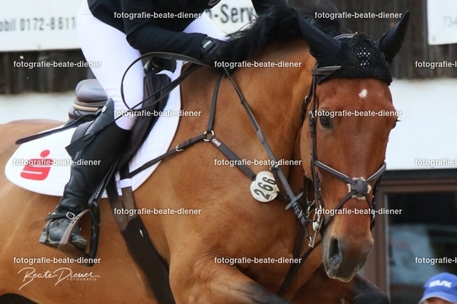 OHT2141 | Fotografie, Tiere, Hunde, Katzen, Pferde, Sportfotografie, Fotosession, Tierfotografie, Turnierfotografie, Fotografin, Fotograf - Realisiert mit Pictrs.com